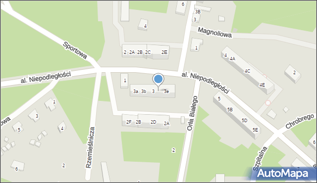 Borne Sulinowo, Aleja Niepodległości, 3d, mapa Borne Sulinowo