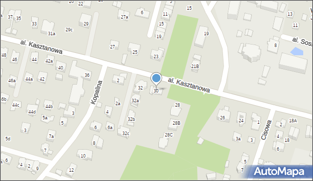 Kraków, Aleja Kasztanowa, 30, mapa Krakowa