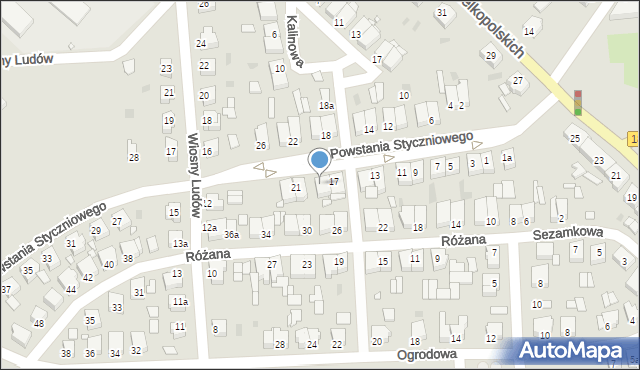 Szamotuły, Aleja Powstania Styczniowego, 19, mapa Szamotuły