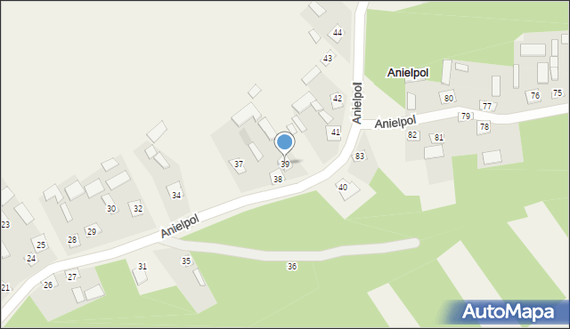 Anielpol, Anielpol, 39, mapa Anielpol