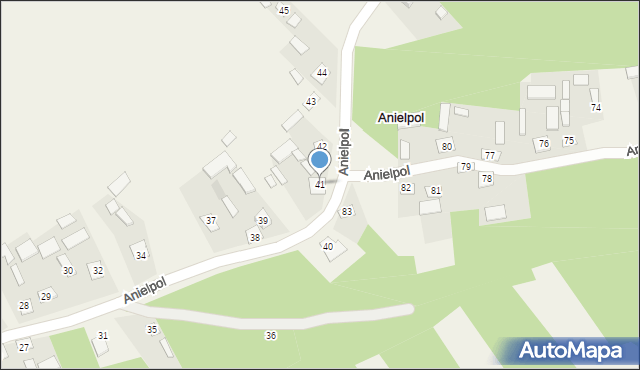Anielpol, Anielpol, 41, mapa Anielpol