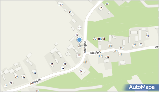 Anielpol, Anielpol, 42, mapa Anielpol