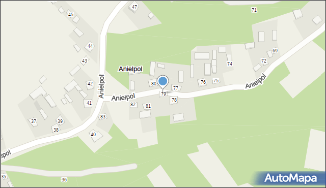 Anielpol, Anielpol, 79, mapa Anielpol