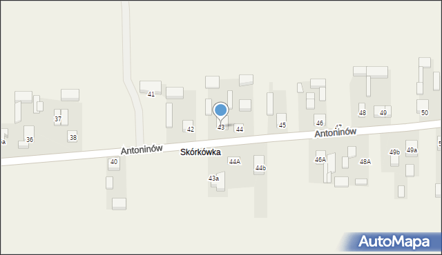 Antoninów, Antoninów, 43, mapa Antoninów