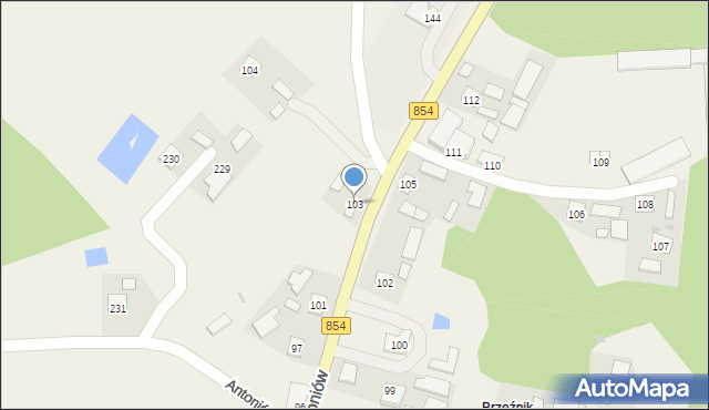 Antoniów, Antoniów, 103, mapa Antoniów