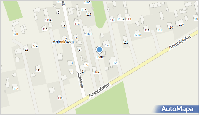 Antoniówka, Antoniówka, 116B, mapa Antoniówka