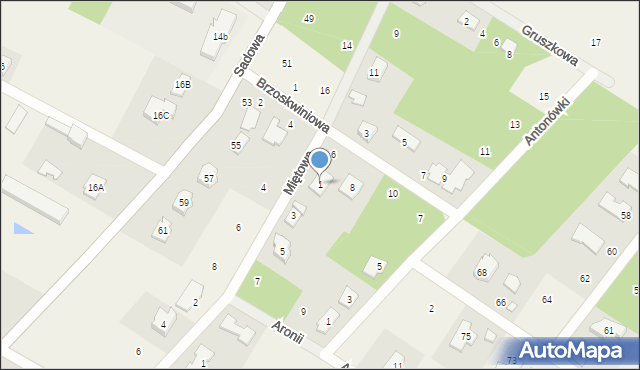 Baszkówka, Aronii, 1, mapa Baszkówka