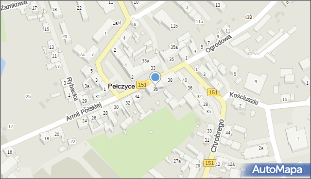 Pełczyce, Armii Polskiej, 36, mapa Pełczyce