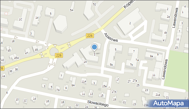 Pruszcz Gdański, Azaliowa, 1, mapa Pruszcz Gdański