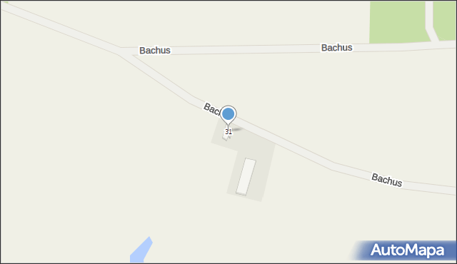 Bachus, Bachus, 31, mapa Bachus