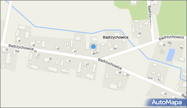 Badrzychowice, Badrzychowice, 45, mapa Badrzychowice