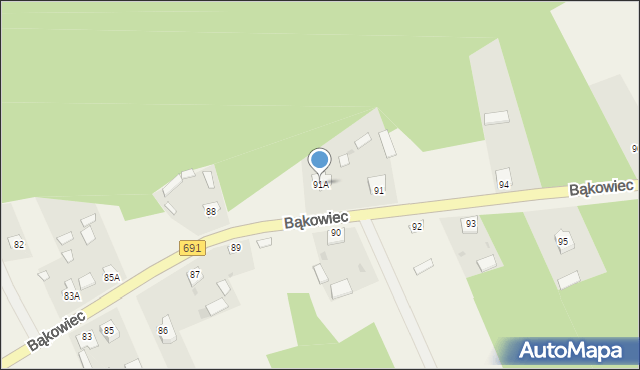 Bąkowiec, Bąkowiec, 91A, mapa Bąkowiec