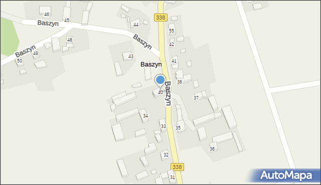 Baszyn, Baszyn, 40, mapa Baszyn