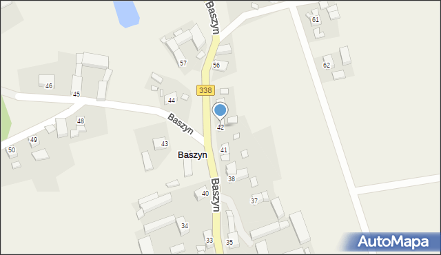 Baszyn, Baszyn, 42, mapa Baszyn