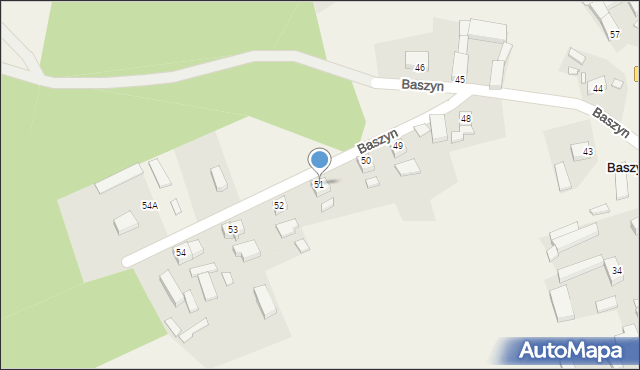 Baszyn, Baszyn, 51, mapa Baszyn