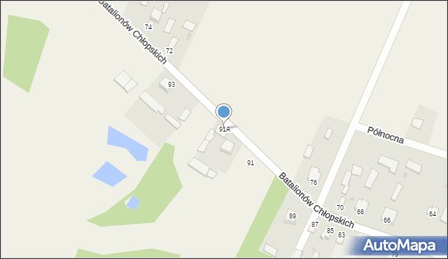 Wiśniew, Batalionów Chłopskich, 91A, mapa Wiśniew