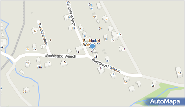 Zakopane, Bachledzki Wierch, 1A, mapa Zakopanego