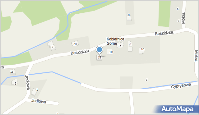 Kobiernice, Beskidzka, 1B, mapa Kobiernice