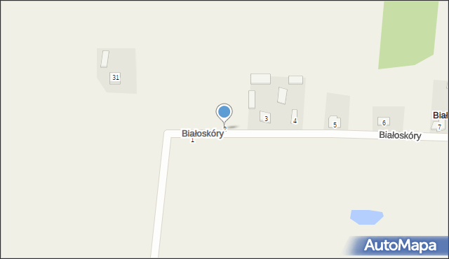 Białoskóry, Białoskóry, 2, mapa Białoskóry