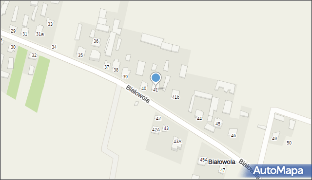 Białowola, Białowola, 41, mapa Białowola