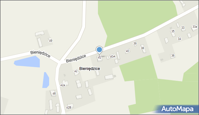 Bieniędzice, Bieniędzice, 41, mapa Bieniędzice