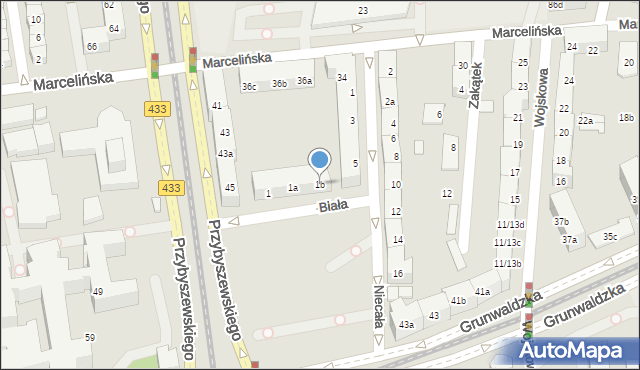 Poznań, Biała, 1b, mapa Poznania