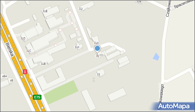 Pszczyna, Bielska, 31, mapa Pszczyny