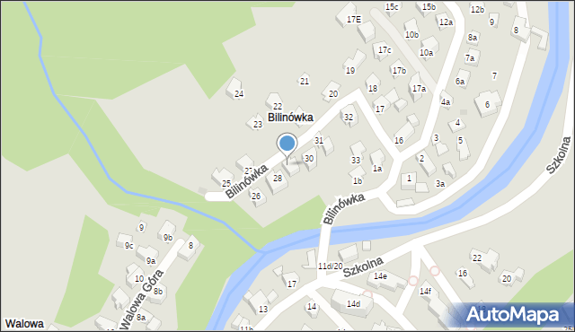 Zakopane, Bilinówka, 29, mapa Zakopanego