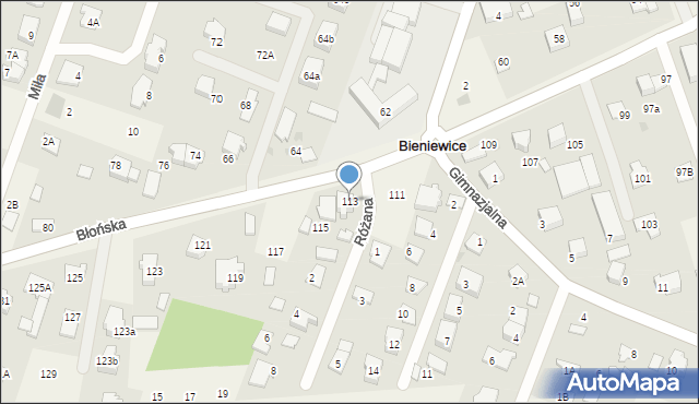 Bieniewice, Błońska, 113, mapa Bieniewice