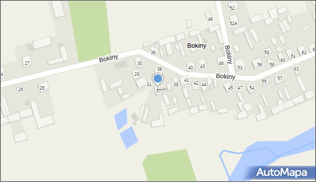 Bokiny, Bokiny, 37, mapa Bokiny