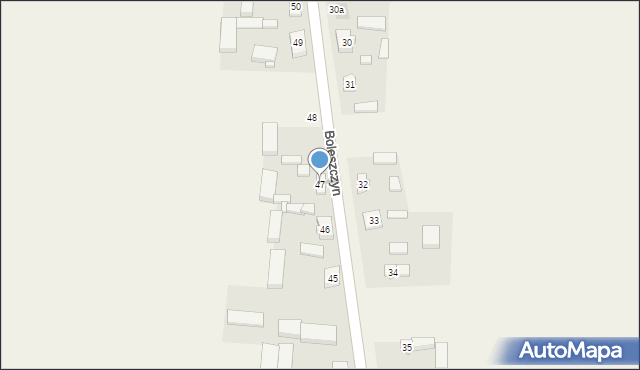 Boleszczyn, Boleszczyn, 47, mapa Boleszczyn