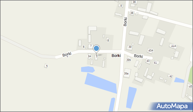 Borki, Borki, 3, mapa Borki