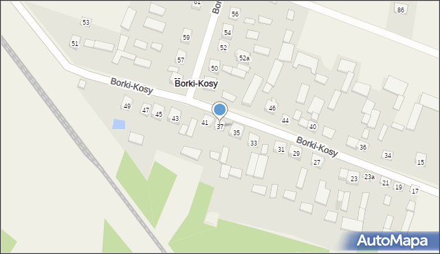 Borki-Kosy, Borki-Kosy, 37, mapa Borki-Kosy