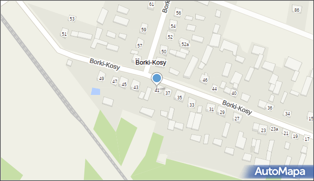 Borki-Kosy, Borki-Kosy, 41, mapa Borki-Kosy