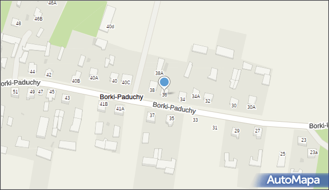 Borki-Paduchy, Borki-Paduchy, 36, mapa Borki-Paduchy