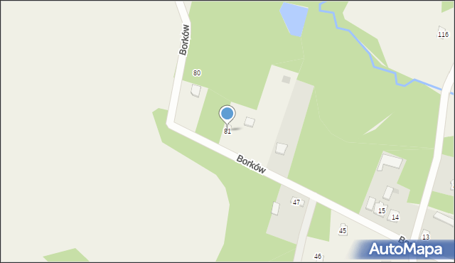 Borków, Borków, 81, mapa Borków