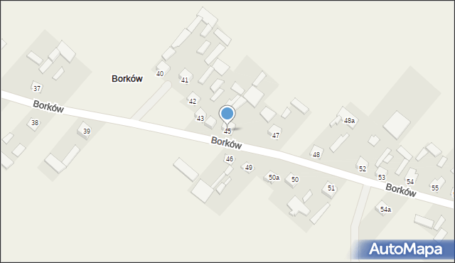 Borków, Borków, 45, mapa Borków