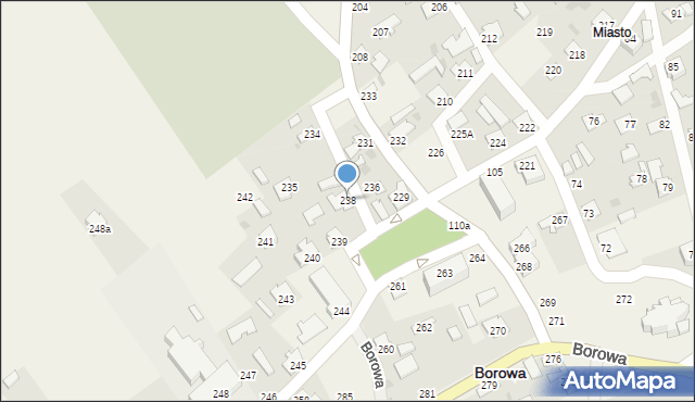 Borowa, Borowa, 238, mapa Borowa