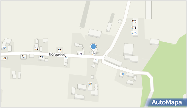 Borowina, Borowina, 77, mapa Borowina