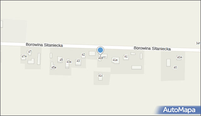 Borowina Sitaniecka, Borowina Sitaniecka, 41b, mapa Borowina Sitaniecka