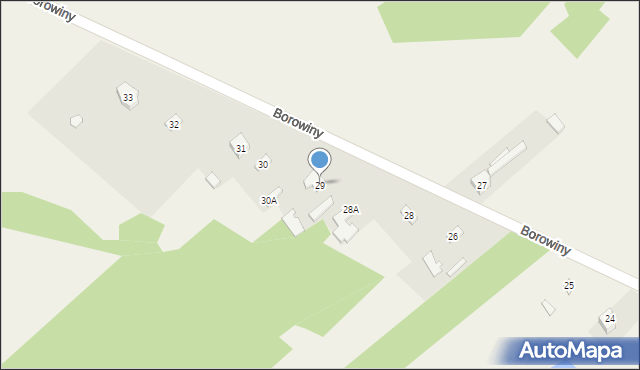 Borowiny, Borowiny, 29, mapa Borowiny