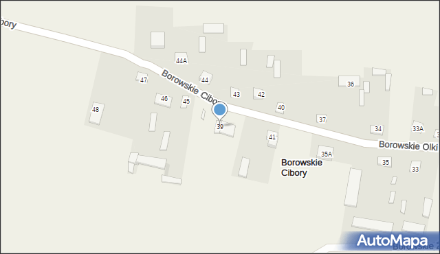 Borowskie Cibory, Borowskie Cibory, 39, mapa Borowskie Cibory