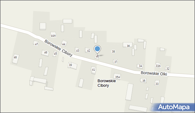 Borowskie Cibory, Borowskie Cibory, 40, mapa Borowskie Cibory