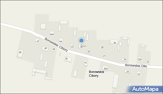 Borowskie Cibory, Borowskie Cibory, 42, mapa Borowskie Cibory