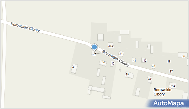 Borowskie Cibory, Borowskie Cibory, 47, mapa Borowskie Cibory
