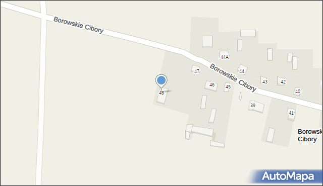 Borowskie Cibory, Borowskie Cibory, 48, mapa Borowskie Cibory