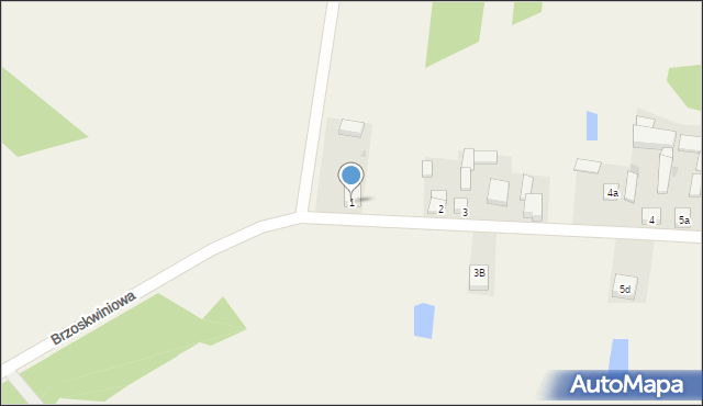 Borszewice Kościelne, Borszewice Kościelne, 1, mapa Borszewice Kościelne