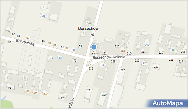 Borzechów-Kolonia, Borzechów-Kolonia, 224, mapa Borzechów-Kolonia