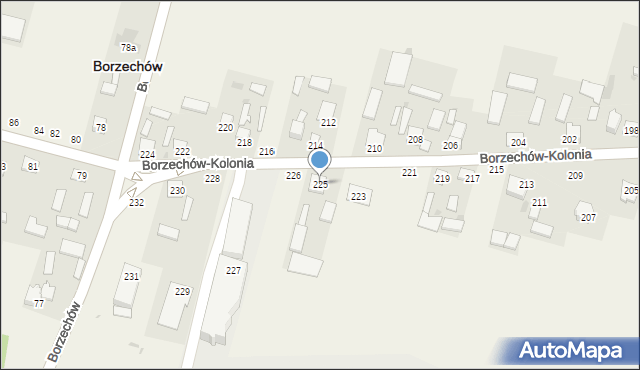 Borzechów-Kolonia, Borzechów-Kolonia, 225, mapa Borzechów-Kolonia