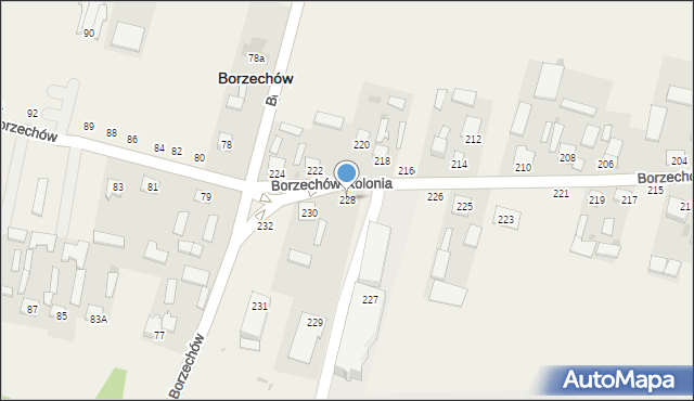 Borzechów-Kolonia, Borzechów-Kolonia, 228, mapa Borzechów-Kolonia